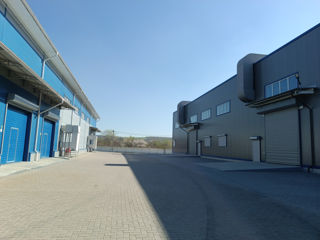 Depozit producere performant 1000m2 foto 10