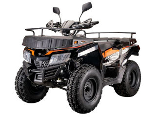 Linhai RATO ATV 200 foto 13