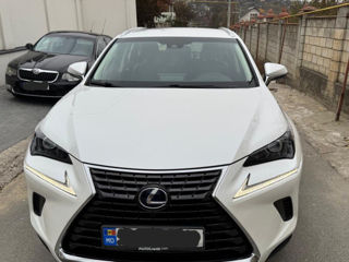 Lexus NX Series