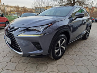 Lexus NX Series