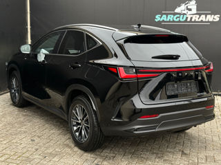 Lexus NX Series foto 6