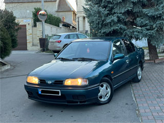 Nissan Primera foto 3