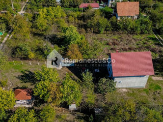 Casa-Vila, Danceni, Vila Dolca, 3 nivele, 190mp + 12ari. foto 6