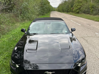 Ford Mustang foto 1