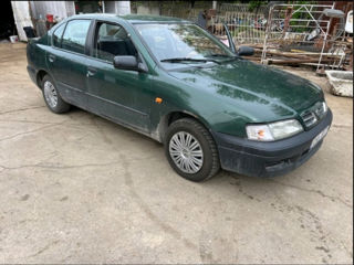 Nissan Primera foto 6