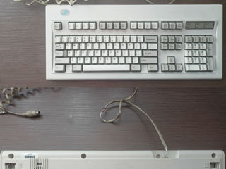 IBM Model M Genuine Keyboard
