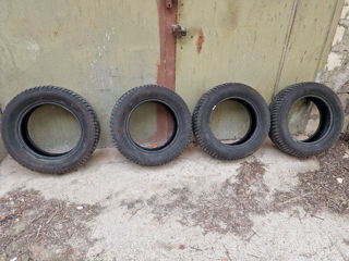 Set anvelope Iarna GoodYear noi 195/65/15 toate 4 - goodyear foto 1