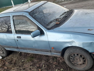 Ford Sierra foto 3