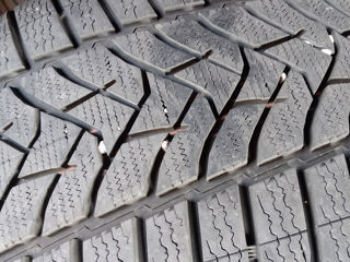 285 40 R20 255 45 R20 Dunlop iarna foto 2