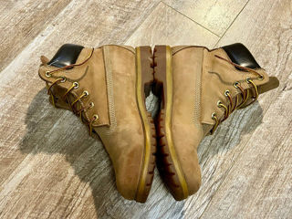 Timberland foto 4