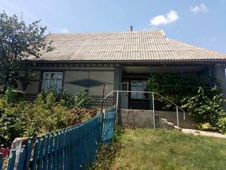 продается дом григориополь, село гыртоп foto 3