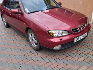 Nissan Primera foto 4