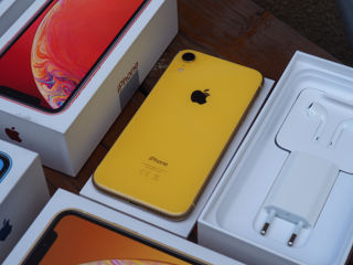 iPhone XR 64 GB de la 241 lei lunar! În credit 0%!