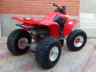 Honda TRX 250 foto 1