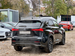 Lexus NX Series foto 5