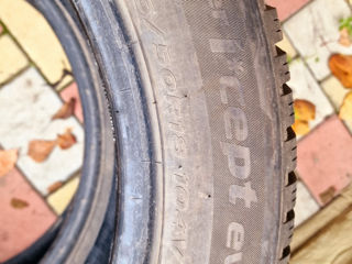 245/50 R18 Hankook foto 2