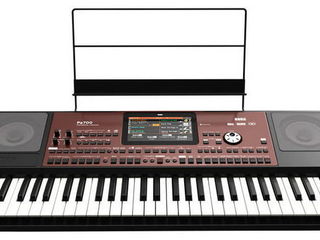 Korg PA700 (стили со звуками в подарок)