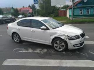 Skoda Kodiaq foto 8