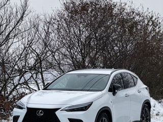 Lexus NX Series foto 10