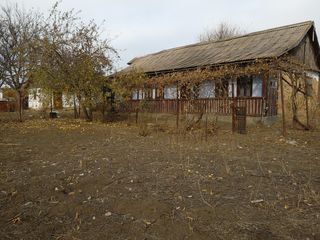 Сasa cu teren de 16 ari  in centrul satului foto 5