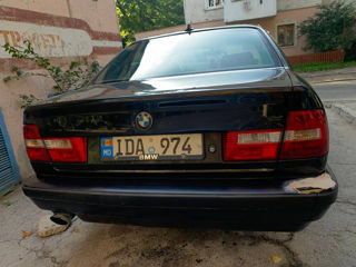 BMW 5 Series foto 5