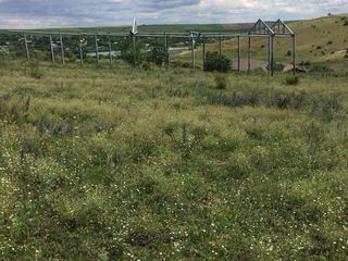 Se vinde teren agricol în s. Rămăzani foto 7