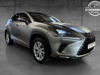 Lexus NX Series