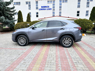 Lexus NX Series foto 6