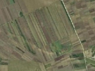 Cumpăr cote ,  teren agricol ,   teren arabil în satul Zaim foto 1