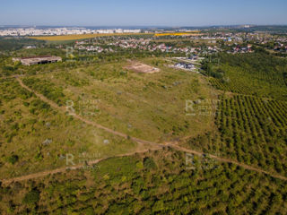 Vânzare, teren agricol, 36 ari, satul Colinița, Ciocana foto 3