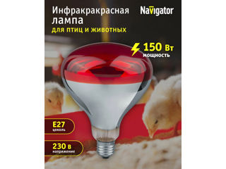 Lampă cu infraroșu pentru încălzirea păsărilor și animalelor NAVIGATOR, reflector R125, 150 W, E27 L foto 3