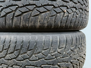 215/60/R17 Nokian foto 2