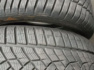 215 60 r16 Pirelli foto 2