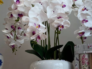 Decor-flori artificiale și vaze  foto 0