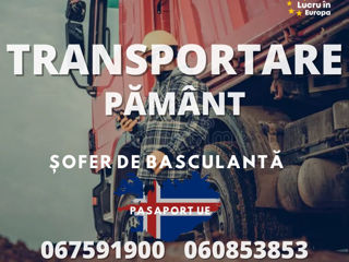 Șoferi C/E – Islanda 3000€ + 3 mese gratuit! foto 1