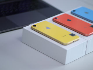 iPhone XR r 64 GB! 0% Кредит от 286 лей/месяц! foto 3