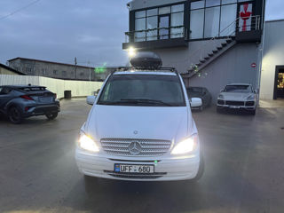 Mercedes Viano foto 4