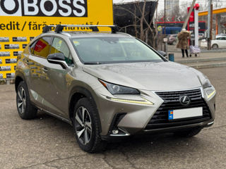 Lexus NX Series foto 4