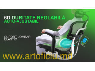 Scaun ergonomic Ergohuman Luxury 2 - este proiectat pentru a asigura confortul spatelui dvs. foto 8