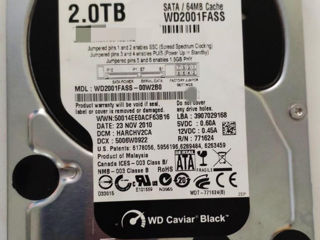 Wd black 2tb 64 mb cash - 2100 lei