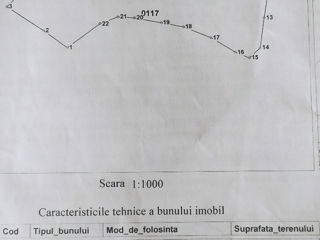 Земельный участок в собственности