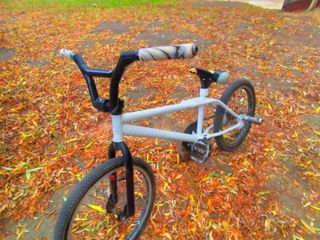 BMX foto 1