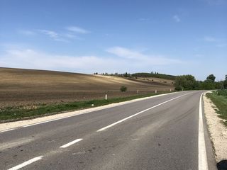 15 hectare pe traseul hincesti-cimislia la 2 km de hincesti foto 3