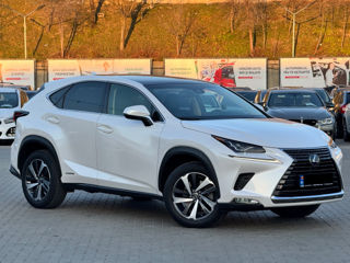 Lexus NX Series