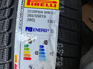 265/55 r19 pirelli scorpion winter