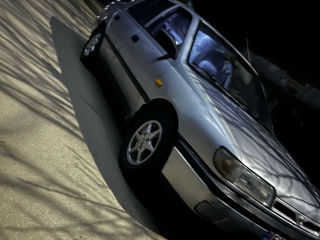 Nissan Sunny foto 3