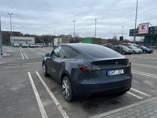 Tesla Model Y foto 4