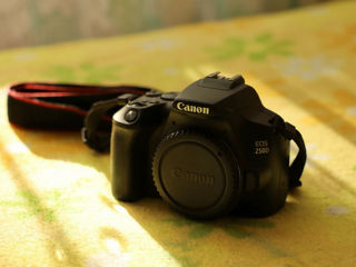 Canon EOS 250D + 2 объектива