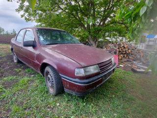 Opel Vectra фото 0