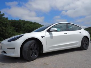 Tesla Model 3 foto 4